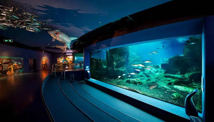 آکواریوم استانبول آکواریوم استانبول